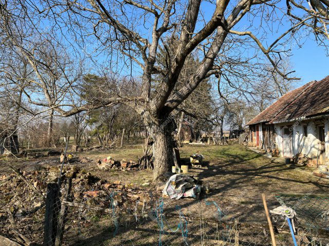 Eladó családi ház, Orosztonyon 12.5 M Ft, 3 szobás