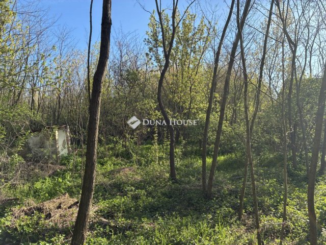 Eladó telek, Mórichidán 3.9 M Ft / költözzbe.hu