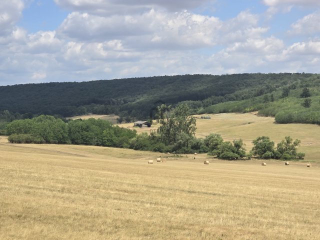 Eladó mezogazdasagi ingatlan, Aszódon 1120 M Ft