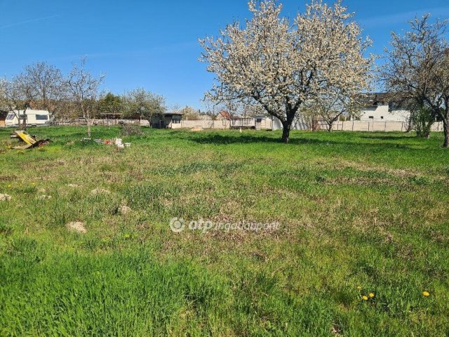 Eladó mezogazdasagi ingatlan, Halásztelken 26.9 M Ft