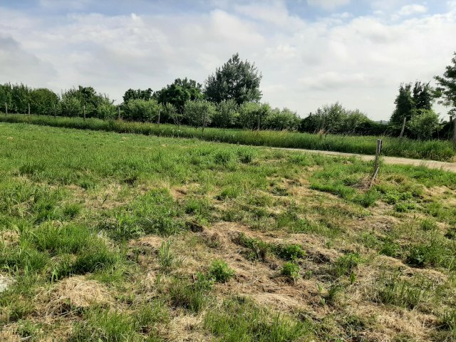 Eladó telek, Kápolnásnyéken 37.9 M Ft / költözzbe.hu