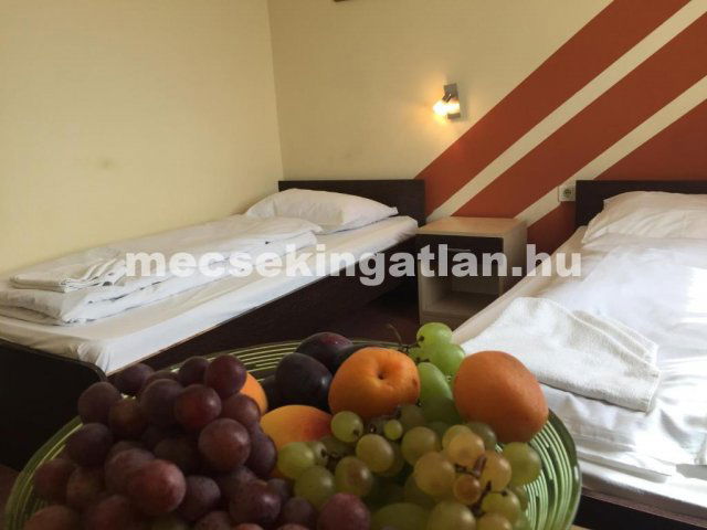 Kiadó téglalakás, albérlet, Pécsett, Ágoston téren, 1 szobás