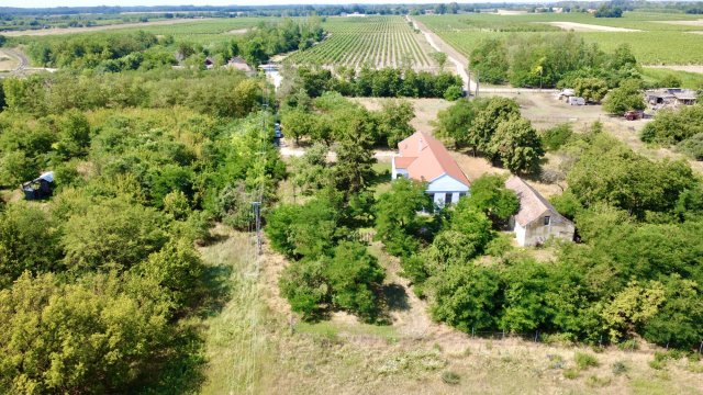 Eladó családi ház, Tiszaalpáron 149 M Ft, 5 szobás