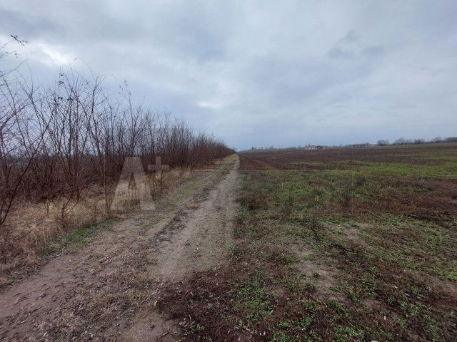 Eladó mezogazdasagi ingatlan, Balástyán 50 M Ft