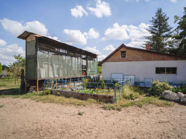 Eladó mezogazdasagi ingatlan, Csemőn, 14. dűlőn 40 M Ft