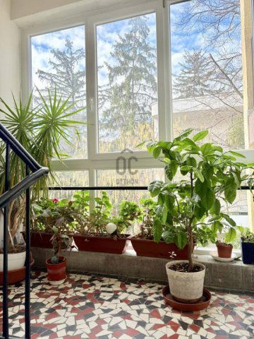 Eladó téglalakás, Budapesten, II. kerületben 155 M Ft, 3 szobás