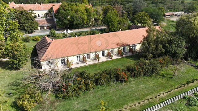 Eladó családi ház, Balatonlelleén 298 M Ft, 10 szobás