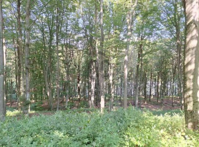 Eladó nyaraló, Bajánsenyén 13.5 M Ft, 1 szobás
