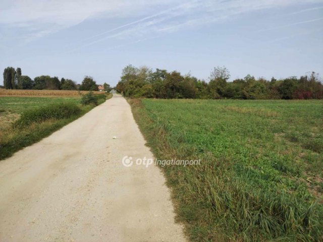 Eladó telek, Vönöckön 4 M Ft / költözzbe.hu
