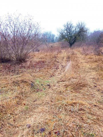 Eladó telek, Óbarokon 14.3 M Ft / költözzbe.hu