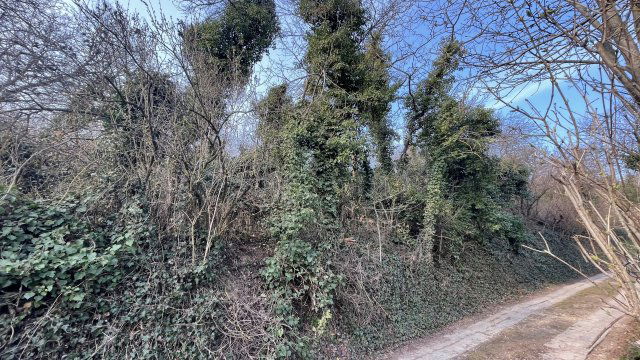 Eladó mezogazdasagi ingatlan, Nyúlon 16.9 M Ft