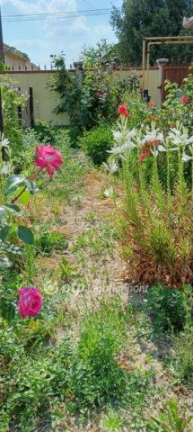 Eladó családi ház, Békésen 24.9 M Ft, 1+1 szobás