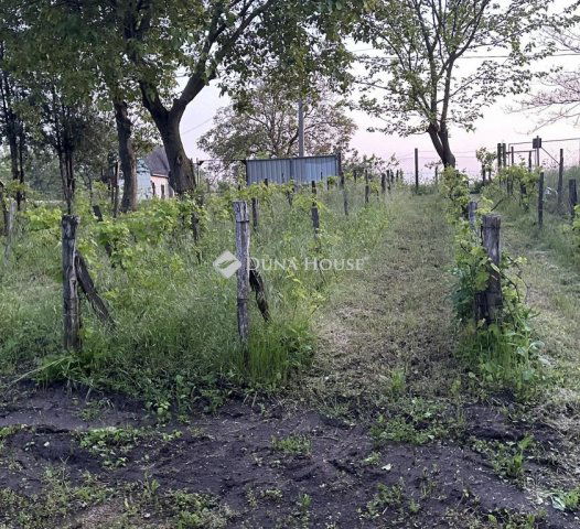 Eladó telek, Mezőfalván, Diófa soron 23.7 M Ft