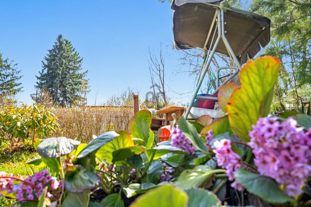 Eladó családi ház, Tahitótfalun 88 M Ft, 4 szobás