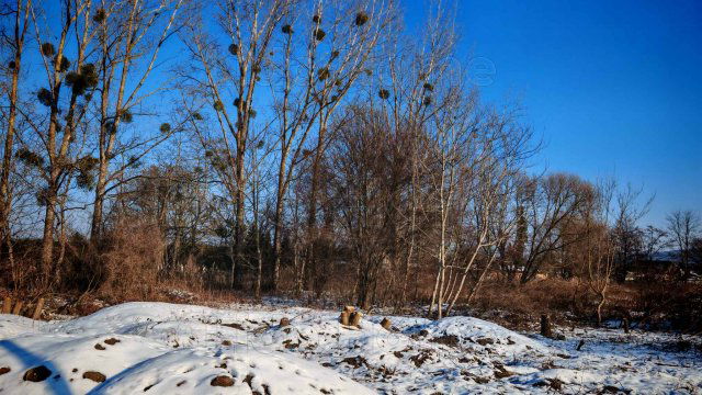 Eladó telek, Zalacsányon 9 M Ft / költözzbe.hu