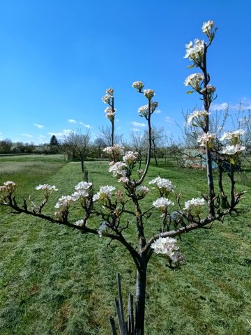 Eladó telek, Gyomaendrődön, Dobó István utcában 2.5 M Ft