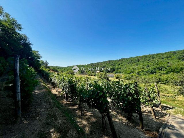 Eladó nyaraló, Kölesden 7 M Ft, 2 szobás / költözzbe.hu