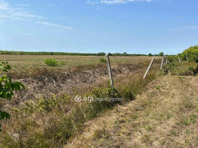Eladó telek, Fehérgyarmaton 25 M Ft / költözzbe.hu