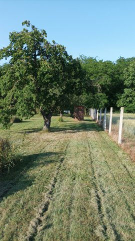 Eladó telek, Pápán 2.5 M Ft / költözzbe.hu