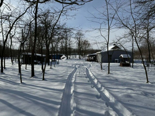 Eladó mezogazdasagi ingatlan, Szabadszálláson 20 M Ft, 3 szobás