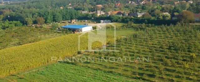 Eladó telek, Csikvándon 70 M Ft / költözzbe.hu