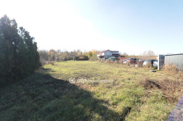 Eladó családi ház, Ráckevén 84.9 M Ft, 6 szobás