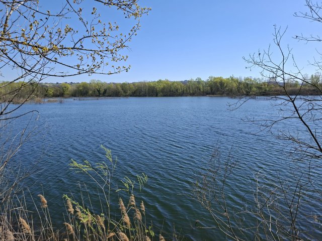 Eladó ipari ingatlan, Zalaegerszegen 285 M Ft