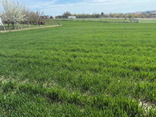 Eladó telek, Cserszegtomajon 14.9 M Ft / költözzbe.hu