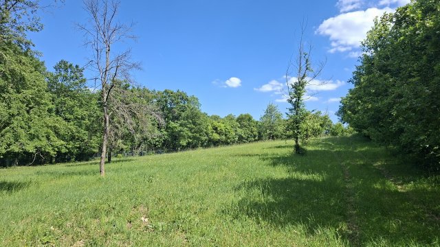 Eladó telek, Balatonszőlősön 35 M Ft / költözzbe.hu