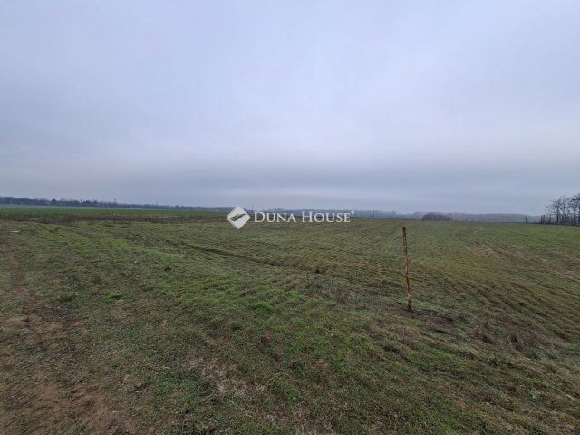 Eladó családi ház, Sülysápon 75.9 M Ft, 5 szobás