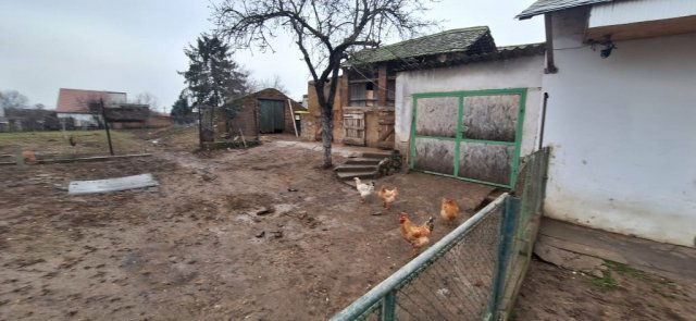 Eladó családi ház, Nagyharsányon 31.99 M Ft, 3 szobás