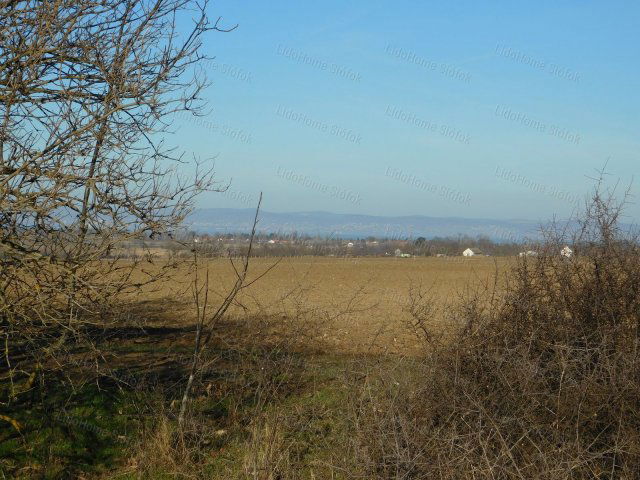 Eladó mezogazdasagi ingatlan, Balatonendréden 11.99 M Ft