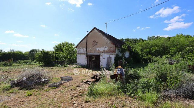 Eladó telek, Alsószentivánon 25 M Ft / költözzbe.hu