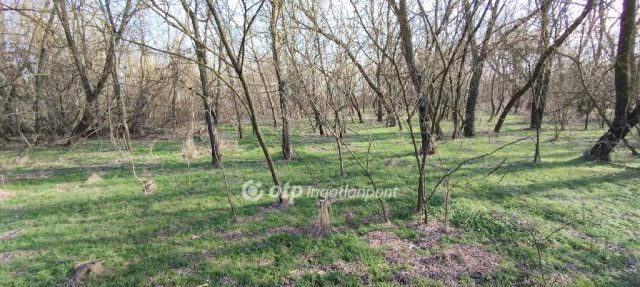 Eladó mezogazdasagi ingatlan, Jászberényben 5.7 M Ft