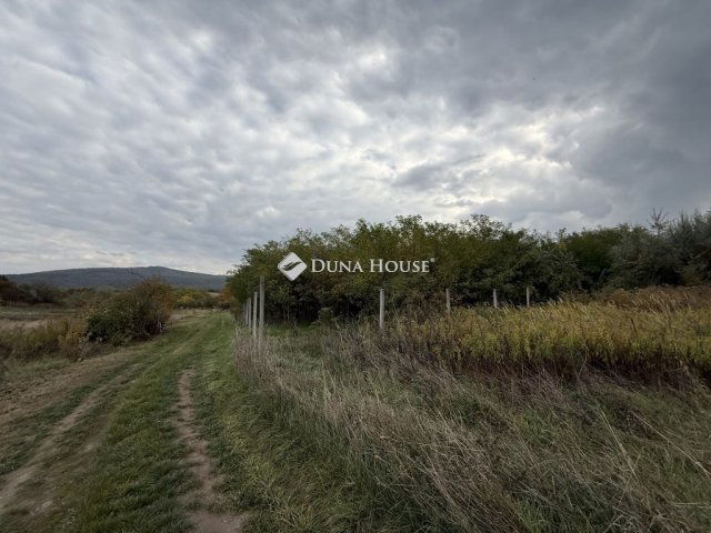 Eladó telek, Nyergesújfaluban 7.8 M Ft / költözzbe.hu