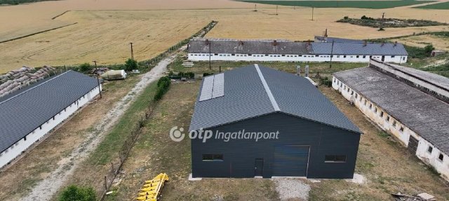 Eladó mezogazdasagi ingatlan, Tiszalúcon 315 M Ft