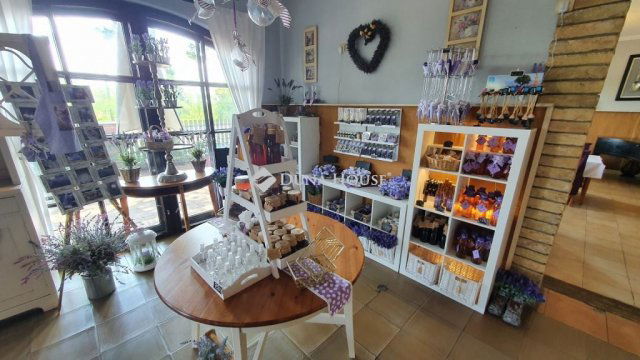 Eladó üzlethelyiség, Csongrádon 135 M Ft, 6 szobás