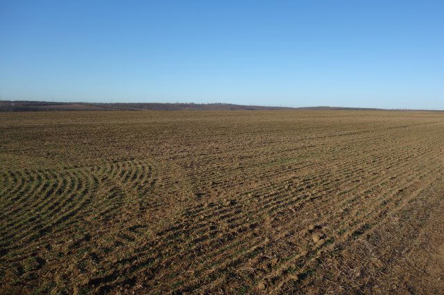 Eladó mezogazdasagi ingatlan, Isaszegen 4.8 M Ft