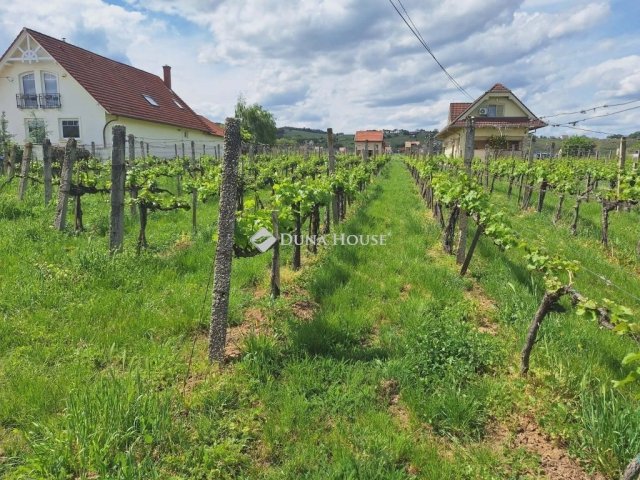 Eladó telek, Villányban 29.9 M Ft / költözzbe.hu
