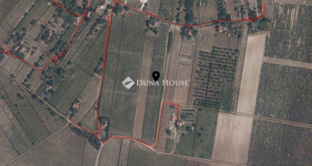 Eladó mezogazdasagi ingatlan, Dörgicsén 44.9 M Ft