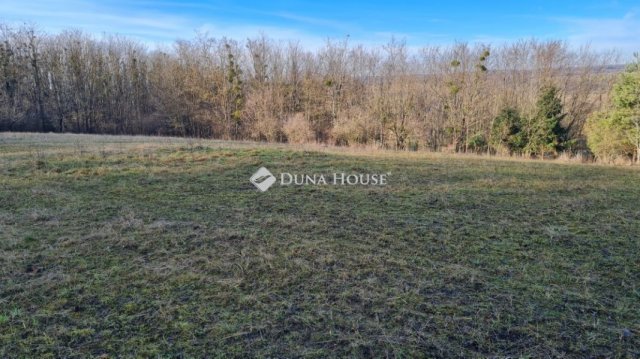 Eladó családi ház, Boncodföldén 59 M Ft, 3 szobás