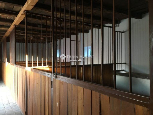 Eladó családi ház, Lajosmizsén 500 M Ft, 4 szobás