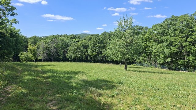 Eladó telek, Balatonszőlősön 35 M Ft / költözzbe.hu