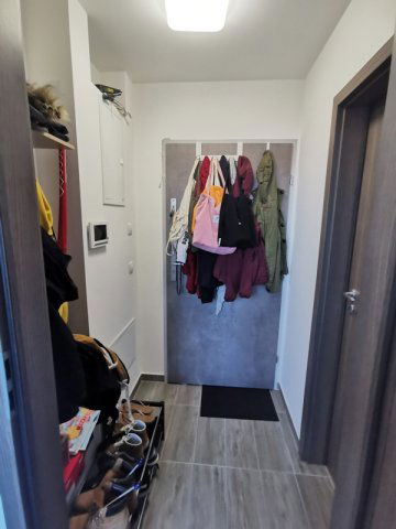 Kiadó téglalakás, albérlet, Pécsett, Koller utcában