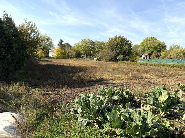 Eladó telek, Felcsúton 29.9 M Ft / költözzbe.hu