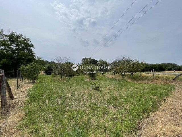 Eladó mezogazdasagi ingatlan, Kecskeméten 79 M Ft