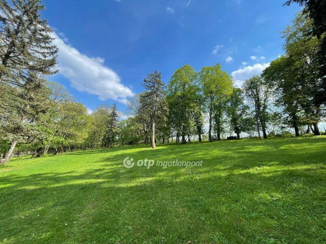 Eladó családi ház, Visontán 244.9 M Ft, 12+1 szobás