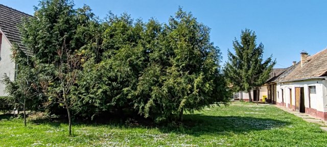 Eladó családi ház, Kőröshegyen 65 M Ft, 5 szobás