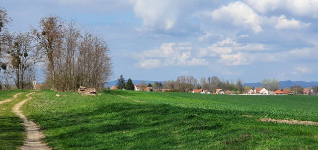 Eladó családi ház, Vörsön 25.5 M Ft, 3 szobás
