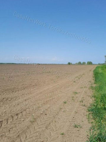 Eladó mezogazdasagi ingatlan, Tiszabőn 23.9 M Ft